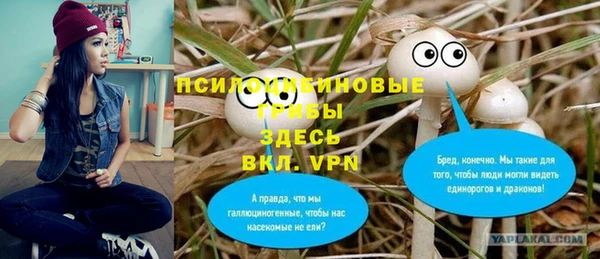 эйфоретик Горняк