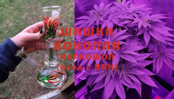 эйфоретик Горняк