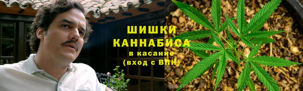 эйфоретик Горняк