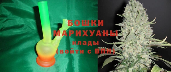 эйфоретик Горняк