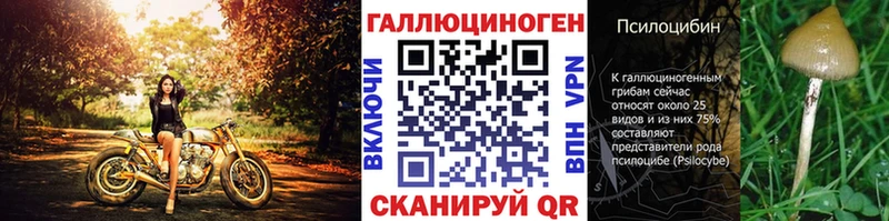 Галлюциногенные грибы мухоморы  наркотики  Железногорск 